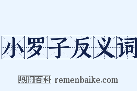 小罗子反义词是什么意思的图片